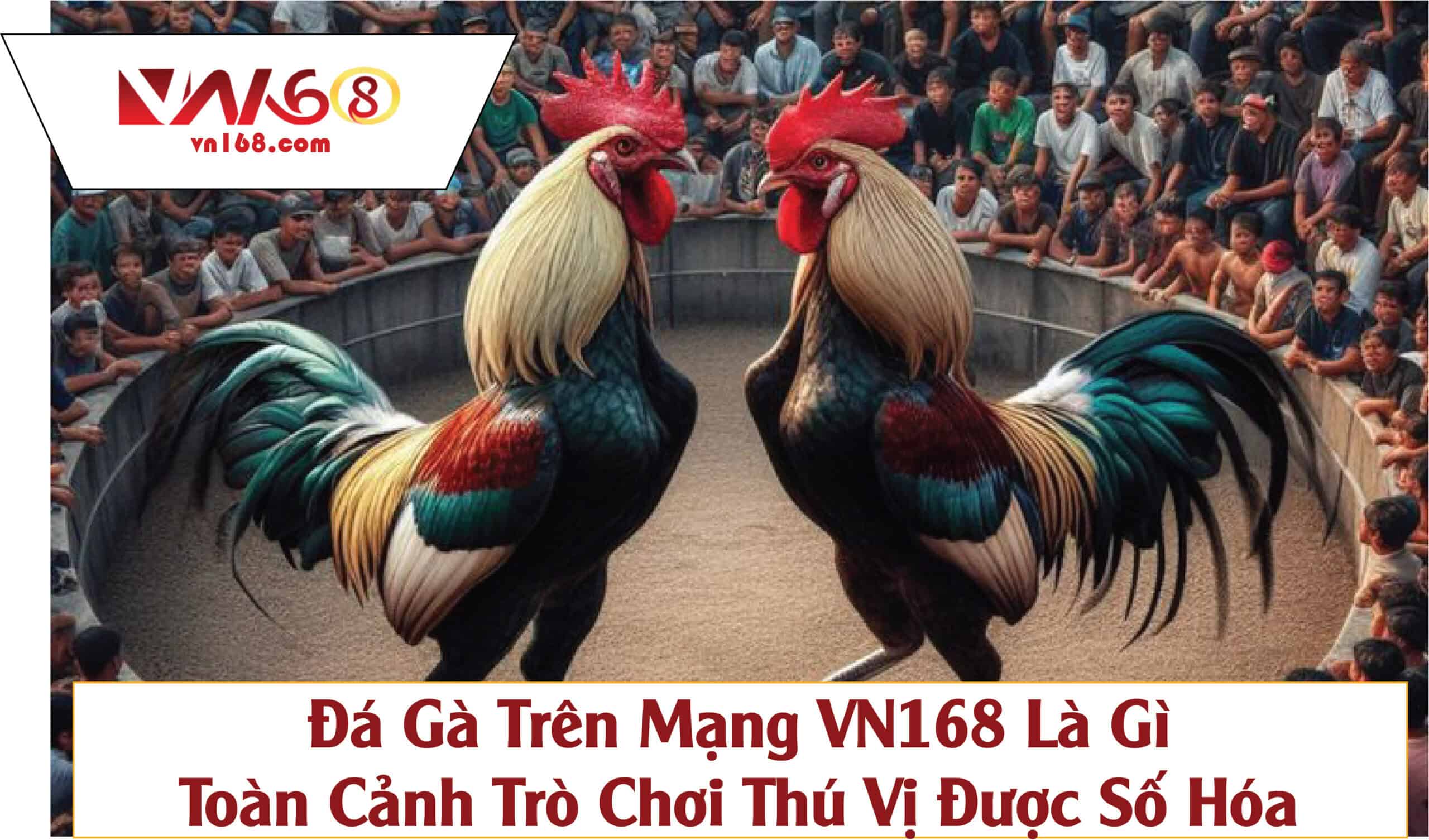 Đá gà trên mạng VN168