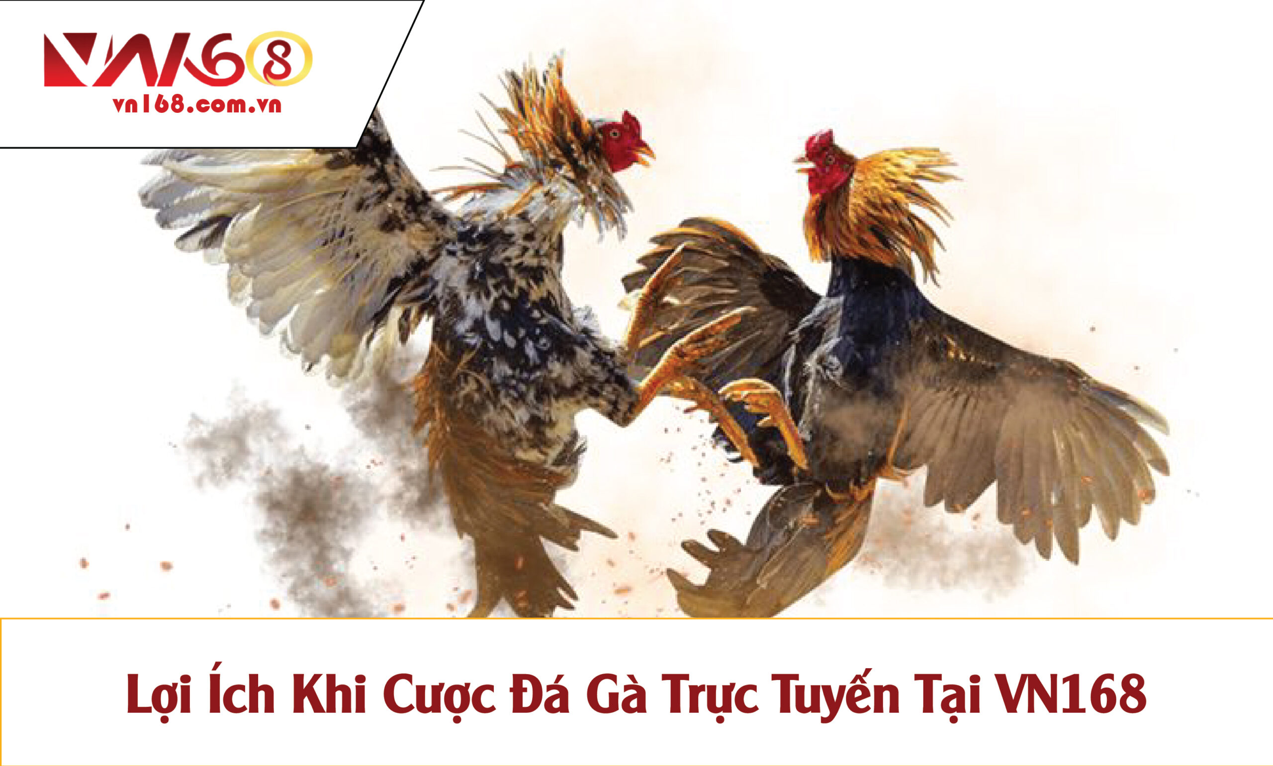 Đá Gà Trực Tuyến VN168 – Trường Gà Thomo, Cược Live Siêu Nhanh