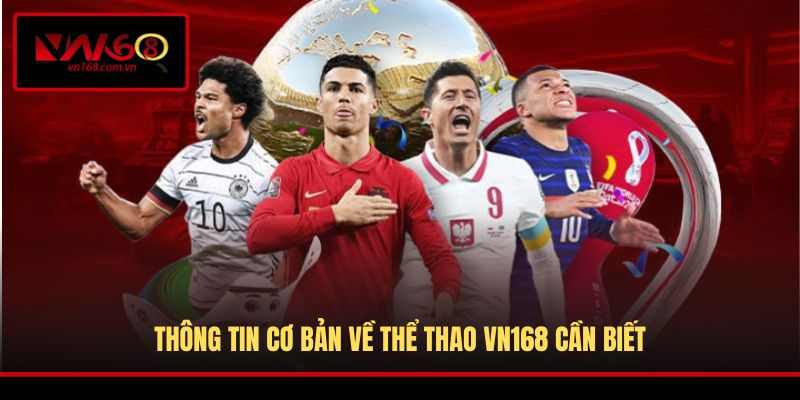 Thông tin cơ bản về thể thao VN168 cần biết