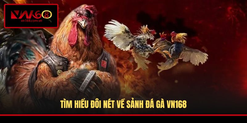 Tìm hiểu đôi nét về sảnh đá gà VN168